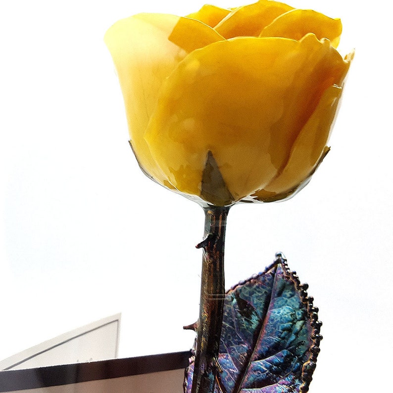 Forever Rose USA The Beauty and the Beast Rose Enchanted Rose This is a Real Yellow Rose preserved to last forever, Made In The USA image 4