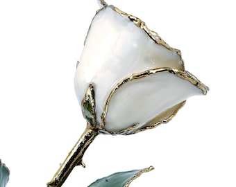 May include: A white rose with gold-plated edges and stem. The rose petals are a creamy white, and the edges are trimmed with gold. The stem is also gold-plated, with green leaves at the base. The rose is set against a white background.