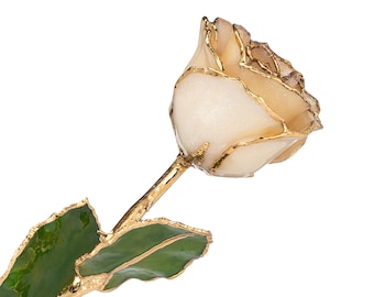 May include: A cream-colored rose with gold-plated edges and stem, and green leaves with gold trim. The rose is in full bloom, showcasing its delicate petals. The gold accents add a touch of elegance to this floral arrangement.
