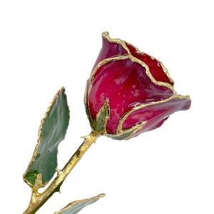 May include: A close-up of a red rose with gold-plated edges and stem. The rose petals are a deep red color, and the leaves are green with gold trim. The stem has thorns.