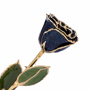 Forever Rose, a Genuine, One of a Kind, Real Frozen Galaxy Rose, Hand Dipped in Lacquer and Trimmed in 24K Gold