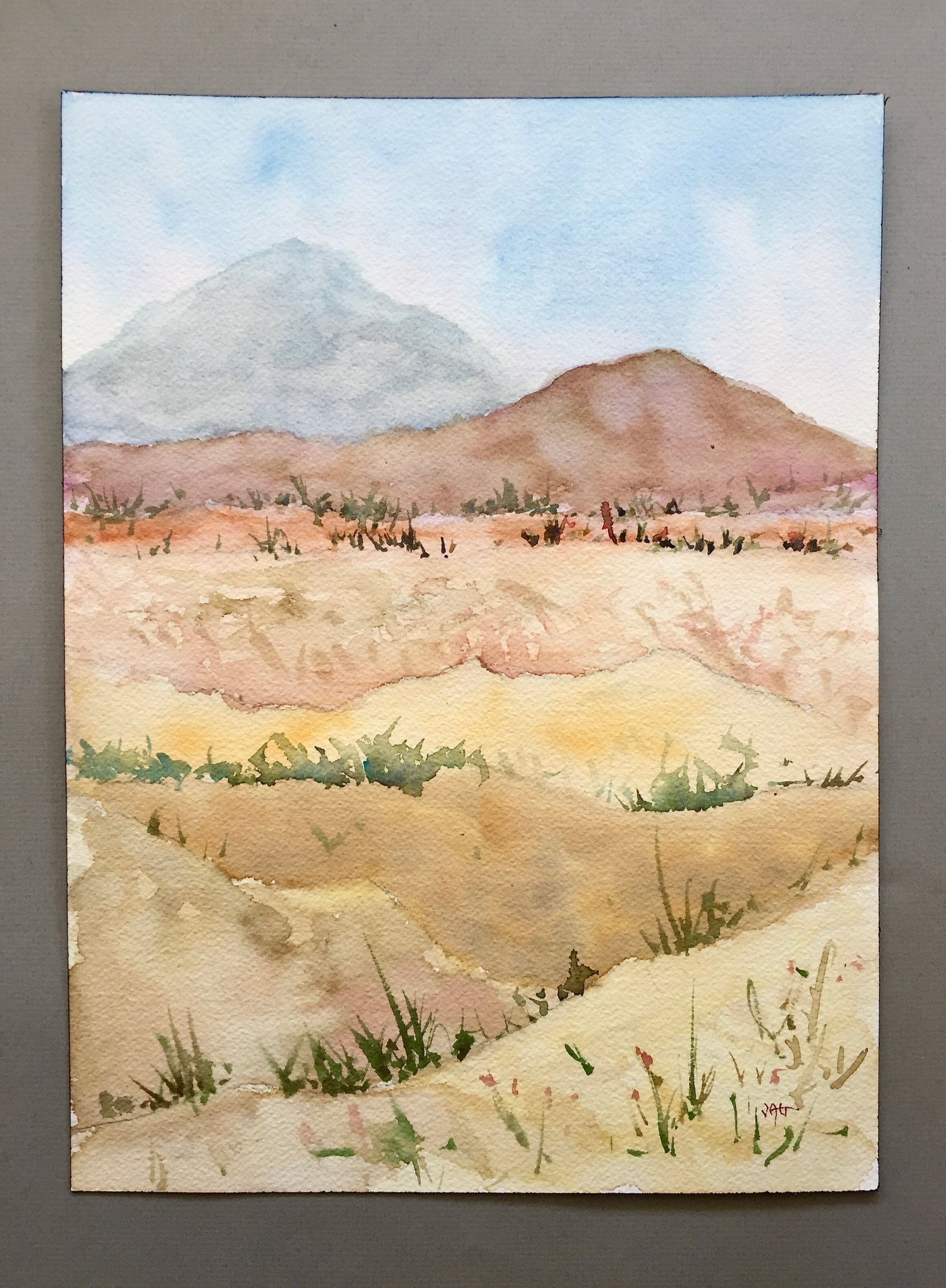 Original Watercolor Sonoran Desert Art Desert Landscape | Etsy