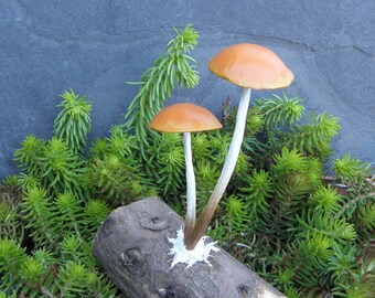 Marasmius Elegans Fungus sculpture, papermache mushroom art, fairy toadstools.