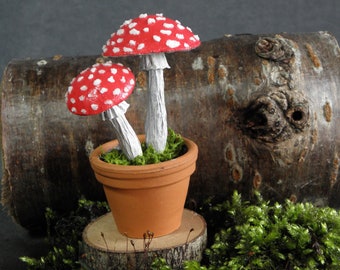 Miniture Fly Agaric toadstools