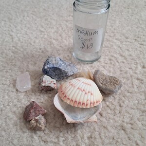 May include: A clear glass jar with a handwritten label reading "medium scoop". The jar is surrounded by various rocks and a seashell with pink and white stripes. The rocks are in shades of gray, red, and blue.