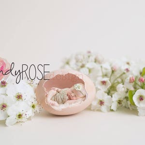 Newborn egg backdrop set of 3
