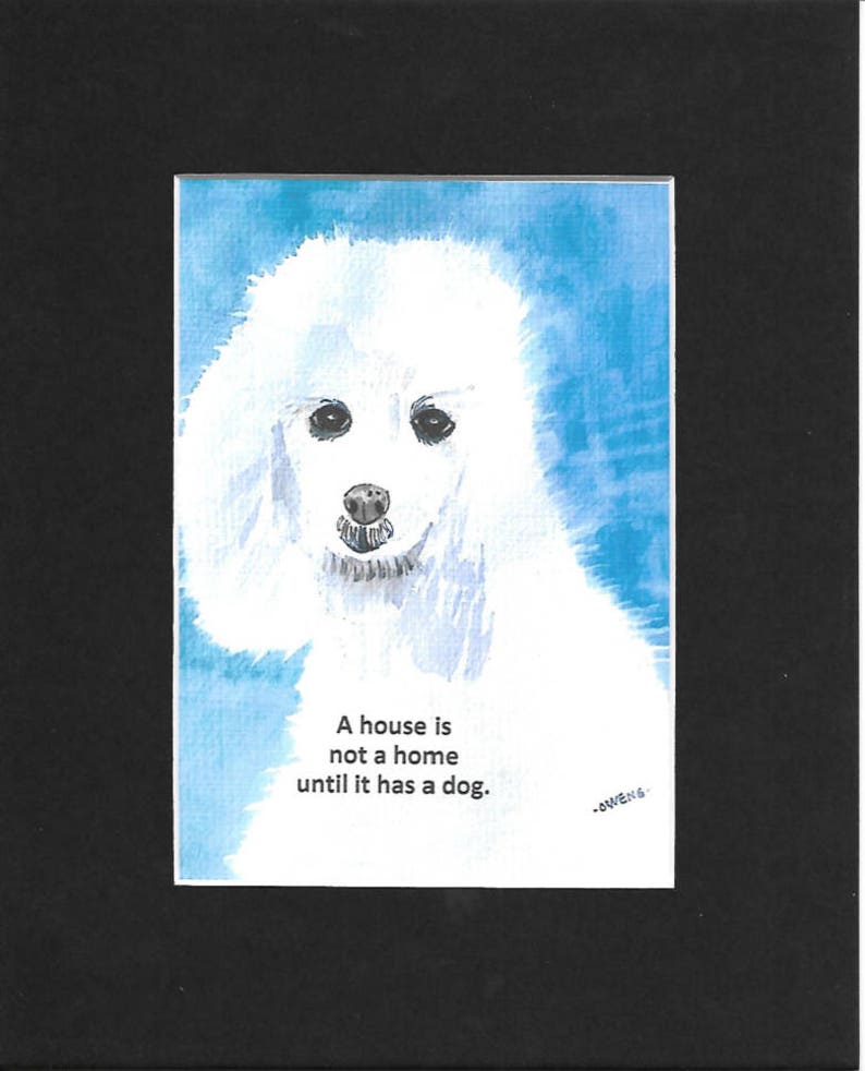 A house is not a home until you have a dog.