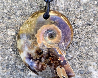 Ammonite Fossil Pendant Prehistoric Ancient Fossil Jewelry