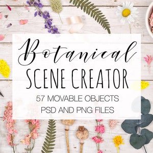 May include: A collection of dried flowers and botanical elements on a white wooden background. The text "Botanical Scene Creator" is displayed in black lettering, along with the text "57 Movable Objects" and "PSD and PNG Files".