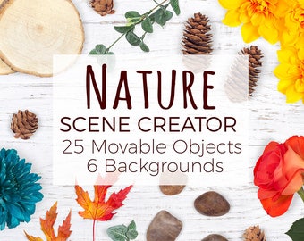 Nature Scene Creator, Movable Scene With Natural Props, Card Mockup Creator, Natural Frame Mock up, Nature Stock Photo