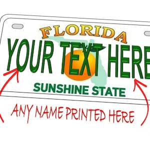 Amerikanisch Nummernschild Personalisiertes Nummernschild Florida Personalisiertes Geburtstagsgeschenk 15 cm 29 cm Amerikanisches Nummernschild