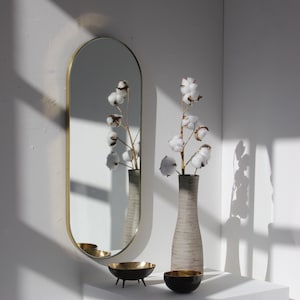 Capsula™ Capsule shaped Modern Mirror with Brass Frame