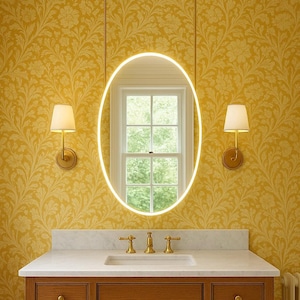 Ovalis Ceiling Suspended Front Illuminated Oval Mirror with Brass Frame and Two Arms