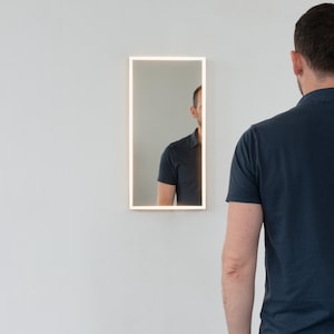 Quadris™ Front Illuminated Rectangular Contemporary Mirror with a Brass Frame