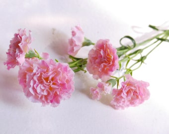 Carnation pink