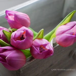 Tulpe Mini violett-3er violett