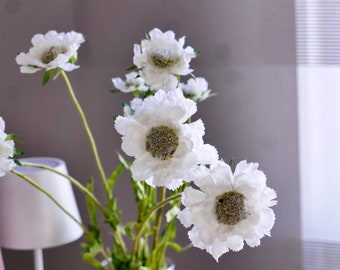 Scabiosa 3er Blüte