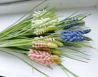 Muscari-Traubenhyazinthe 5er rosa,blau,weiss