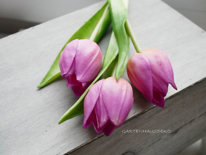 Tulpe Mini violett-3er Bild 7
