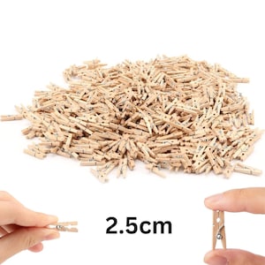 Mini Natural Crafters Houten pennen Doek Ambachten Kaarten Opknoping Fotoclips Decor 25 mm Versier ze in kleur