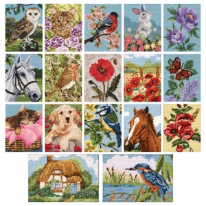 Beginner's Tapestry Kits - Tapestry Kits UK