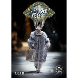 May include: A grey rabbit wearing a grey fur coat and carrying a gold handbag walks down a street. The rabbit is wearing a crown with the words "Kingcole Velveteen" above it. The text "Established 1935 King Cole 80 Years 1935-2015" is in the bottom right corner of the image.