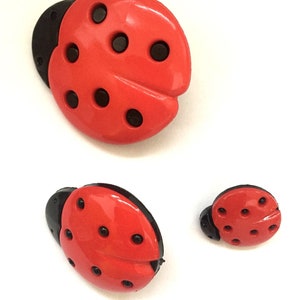 Bottoni coccinella rossi e neri - 3 dimensioni: 15mm/25mm/35mm - Insetti - Bottoni con gambo - artigianato, cucito, trapuntatura a maglia, ricamo