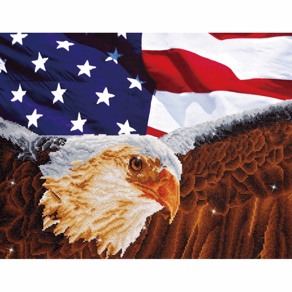 5D DIY Diamond Painting Kits for Adults Kids Eagle and Flag Full Drill  Embroider