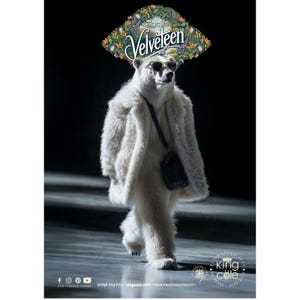 May include: A polar bear wearing a white fur coat, sunglasses, and a floral hat with the text "King Cole Velveteen" walks down a runway. The bear is carrying a black handbag.