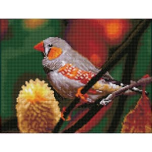 ダイヤモンド ドッツ - スクエア - コキンチョウ - 鳥 - 動物 - 自然 - ギフト - 作成