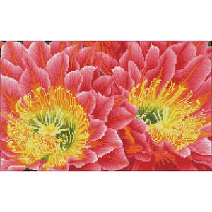 Diamond Dotz Squares - Desert Blooms - 52 x 32cm - Flowers - Make - Craft - Gift