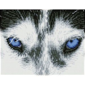 May include: Close-up of a white wolf's face with piercing blue eyes. The fur is detailed with black and white shades, creating a realistic look.