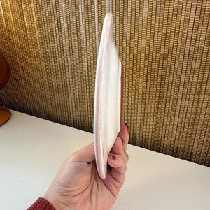 May include: A white ceramic plate with a pink rim and a red interior. The plate has a unique, elongated shape and is held in a hand.