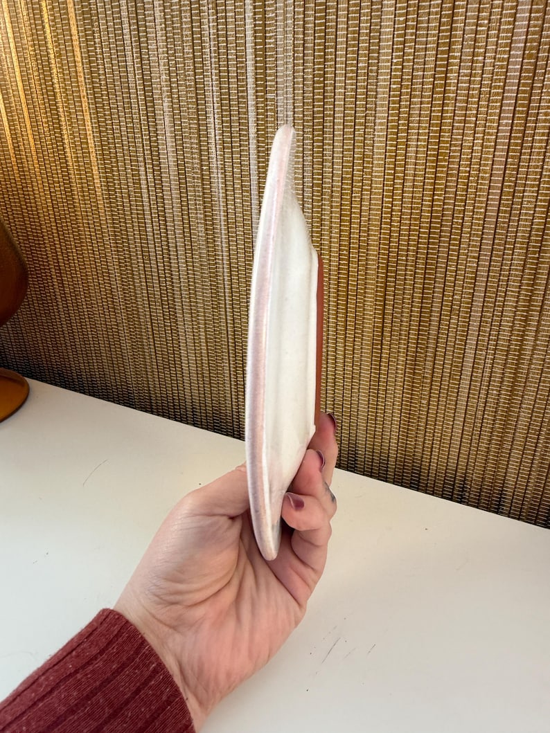 May include: A white ceramic plate with a pink rim and a red interior. The plate has a unique, elongated shape and is held in a hand.