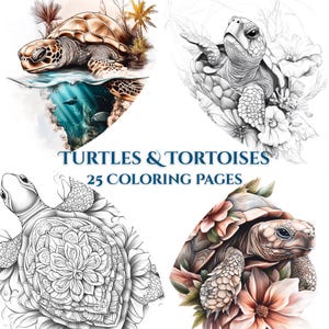 May include: A collection of four illustrations of turtles and tortoises. The top left image shows a turtle swimming underwater. The other images are black and white line drawings of turtles and tortoises with floral accents. The text "TURTLES & TORTOISES 25 COLORING PAGES" is displayed.