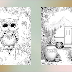Peut inclure: Deux pages de coloriage en noir et blanc. L'une pr&eacute;sente un hibou d&eacute;taill&eacute; perch&eacute; sur une branche, entour&eacute; de fleurs et d'attrape-r&ecirc;ves. L'autre repr&eacute;sente une caravane entour&eacute;e de fleurs, d'arbres et de montagnes.