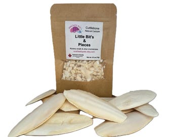 Cuttlebone Pieces | Natural Calcium Supplement for Aquatic Pets (15g)