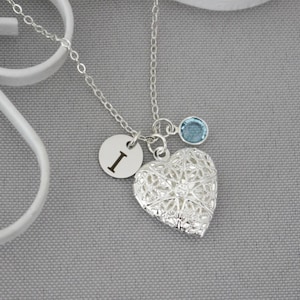 Girls Necklace, Personalized, Picture Locket, Heart Photo Locket, Initial Charm, Birthstone, Letter Disc, Custom, Gifts Niece Granddaughter image 12