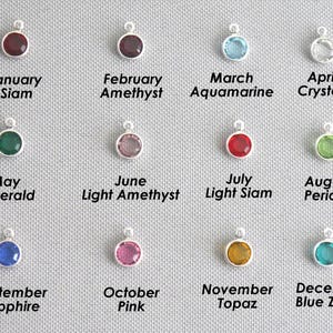 May include: A collection of twelve circular silver birthstone charms arranged in a grid. Each charm features a coloured crystal and is labelled with its corresponding month and stone name, including January Siam, February Amethyst, March Aquamarine, April Crystal, May Emerald, June Light Amethyst, July Light Siam, August Peridot, September Sapphire, October Pink, November Topaz, and December Blue Zircon.