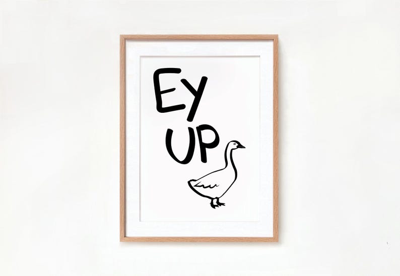 May include: A framed print with the text "Ey Up" in black lettering and a black and white illustration of a goose.