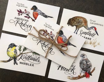 Michigan Birds Illustration Postcards set of 8