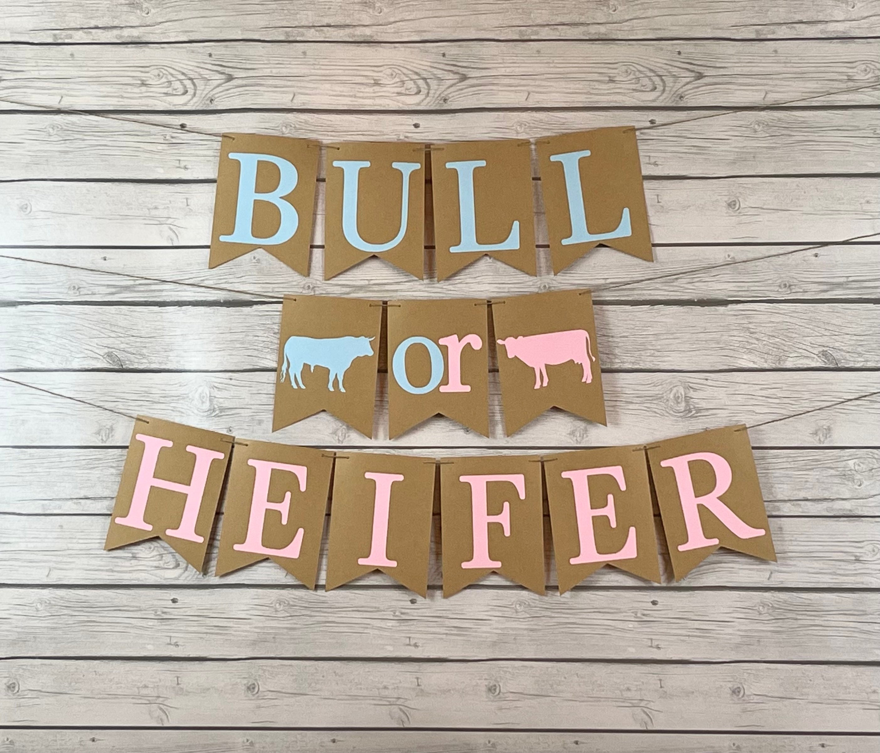 Bull or Heifer Banner Bull or Heifer Gender Reveal Cow Etsy