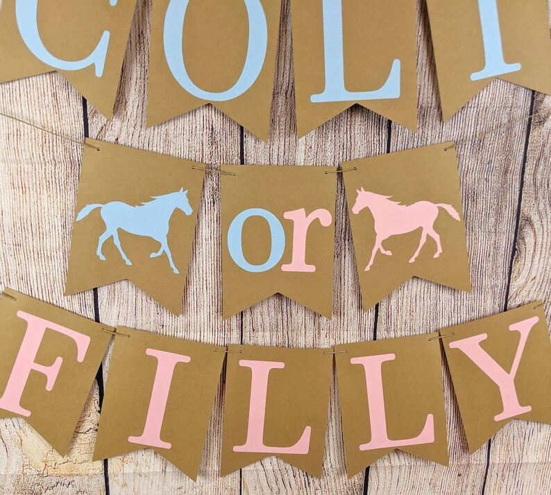 Colt or Filly Banner Colt or Filly Gender Reveal Banner Colt Etsy