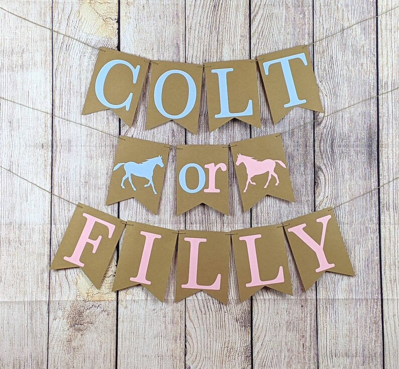 Colt or Filly Banner Colt or Filly Gender Reveal Banner Colt Etsy