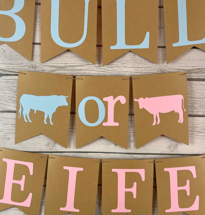 Bull or Heifer Banner Bull or Heifer Gender Reveal Cow Etsy