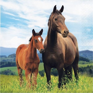 Horse Theme Party Luncheon Napkins/ Horse Birthday Party Napkins/ Horse Lover&#39;s Party Napkins/ Horse Paper Napkins