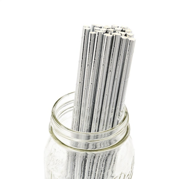 Silver Paper Straws Etsy