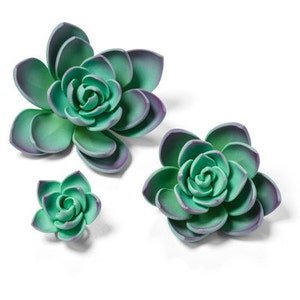 3 CT Succulent Cake Toppers/ Teal Green Succulent Cake Topper/ Edible Succulents/ Succulent Cake Topper