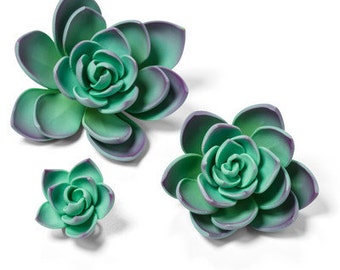 3 CT Succulent Cake Toppers/ Teal Green Succulent Cake Topper/ Edible Succulents/ Succulent Cake Topper