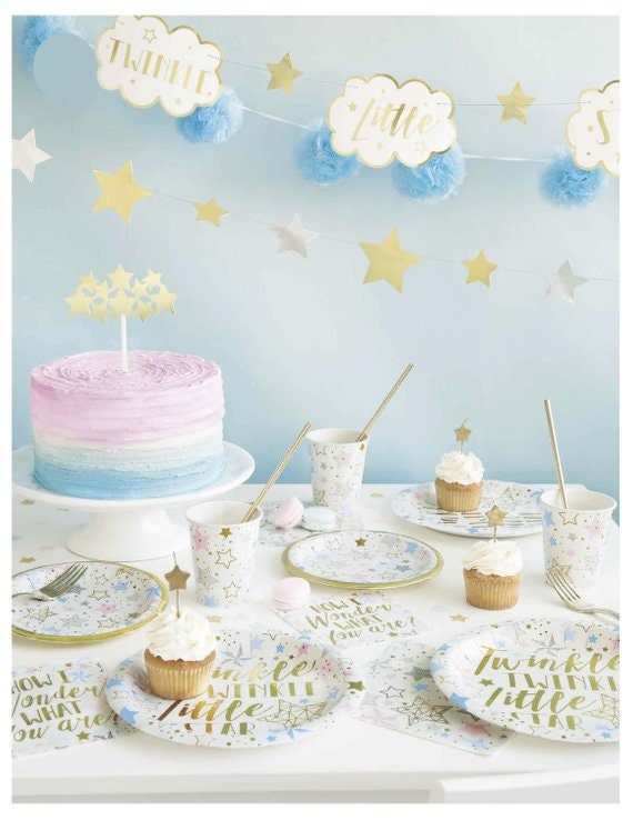 Twinkle Twinkle Little Star Baby Shower Gender Reveal Party Etsy